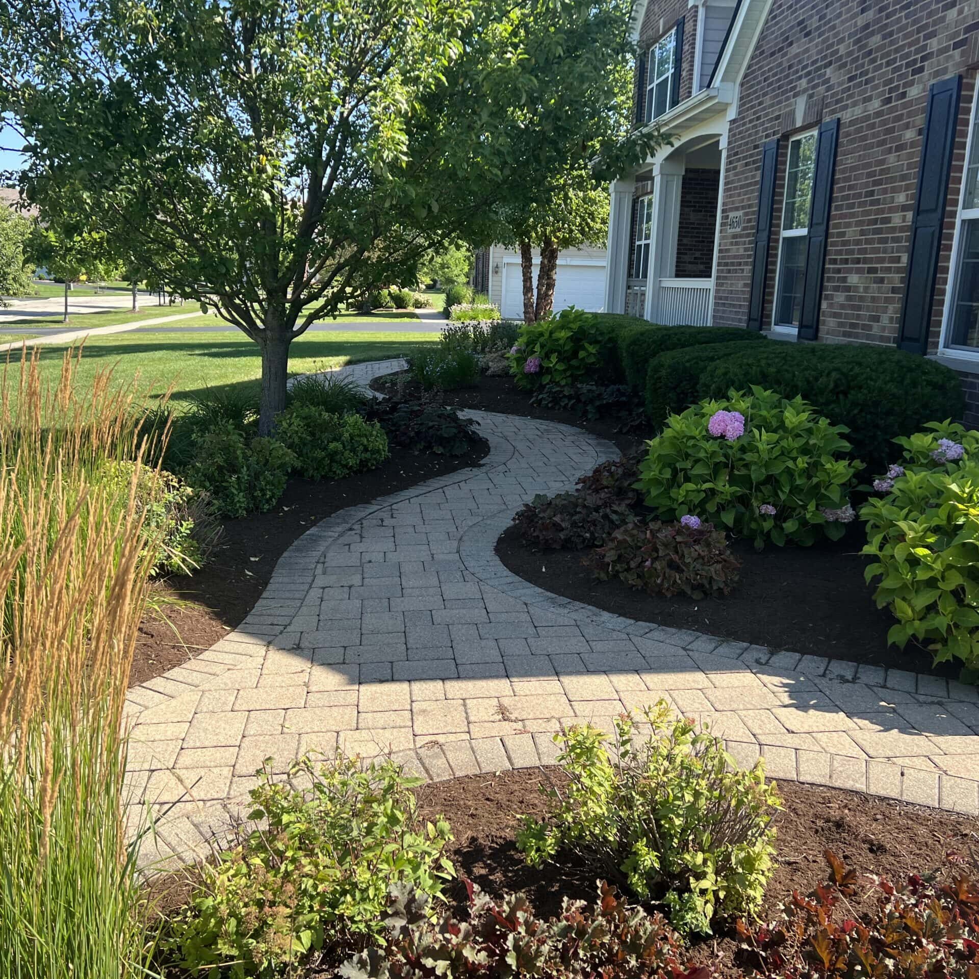 Custom front yard landscaping project by Arellano Landscaping with seasonal color, decorative edging, and strategic plant placement in Elgin