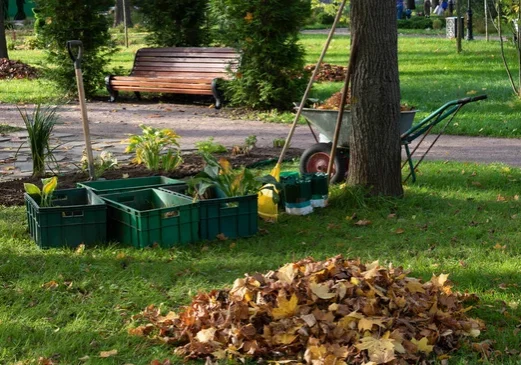 Pile of collected autumn leaves during professional removal service by Arellano Landscaping