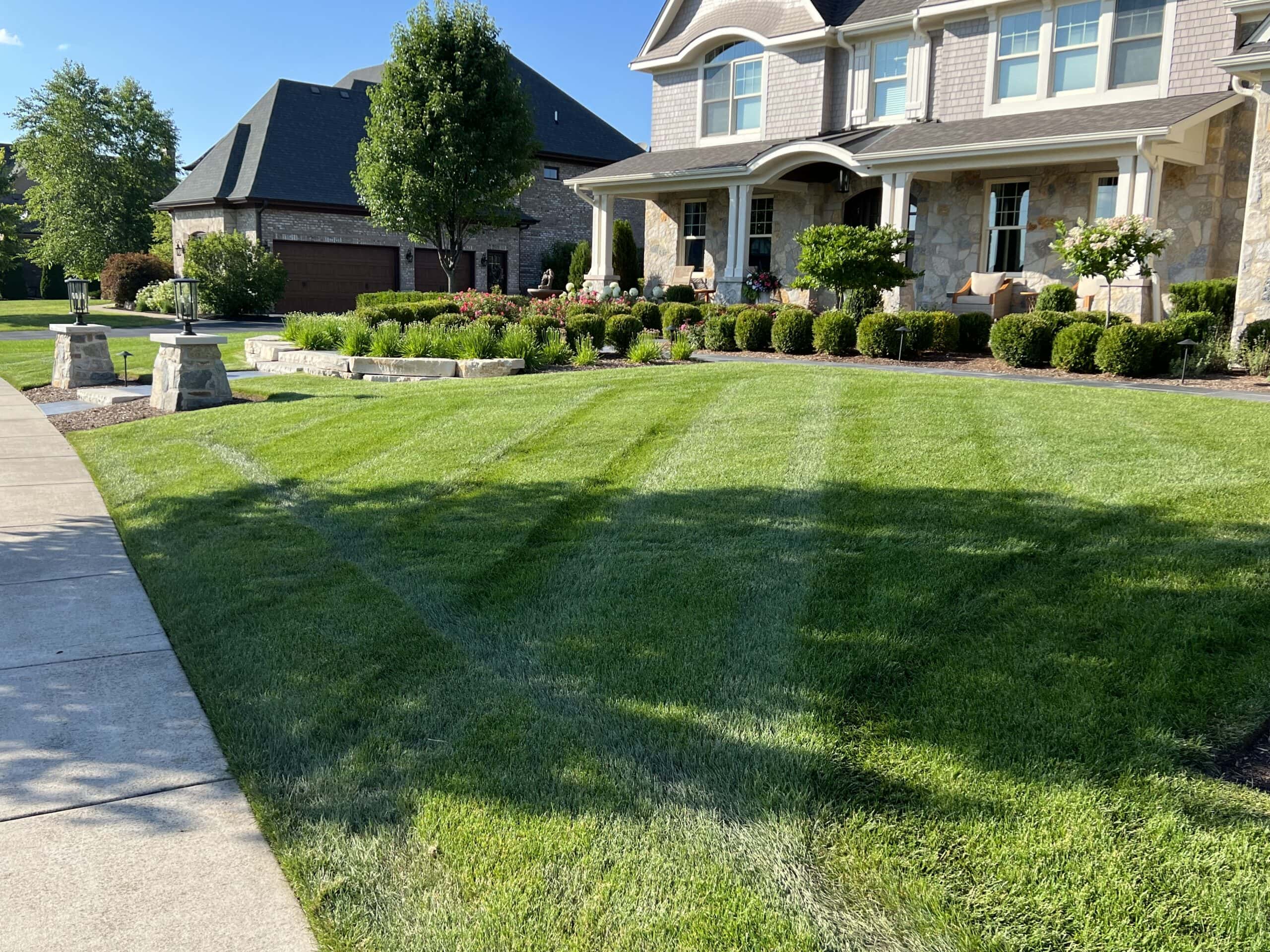 lawn care
